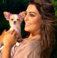 FAMOSOS CHIHUAHUA JULIANA PAES ATORES CACHORRO DE LUXO